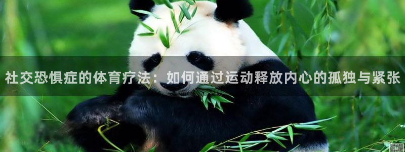 谈球吧：社交恐惧症的体育疗法：如何通过运动释放内心的孤独与紧张