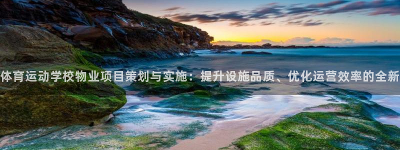 谈球吧体育：体育运动学校物业项目策划与实施：提升设施品质、优化运营效率的全新