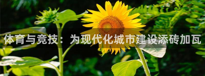 谈球吧体育：体育与竞技：为现代化城市建设添砖加瓦