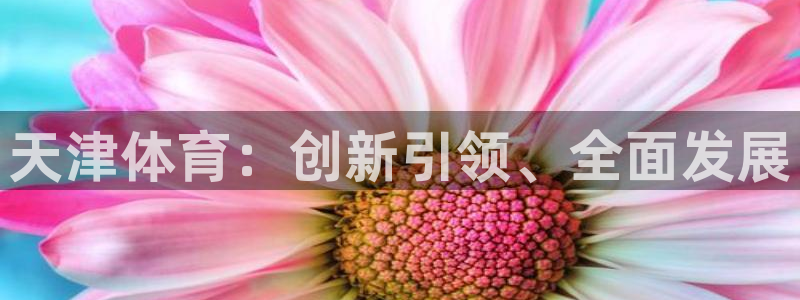 谈球吧