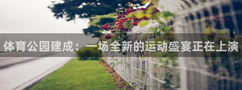 谈球吧体育