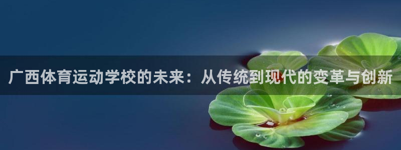 谈球吧