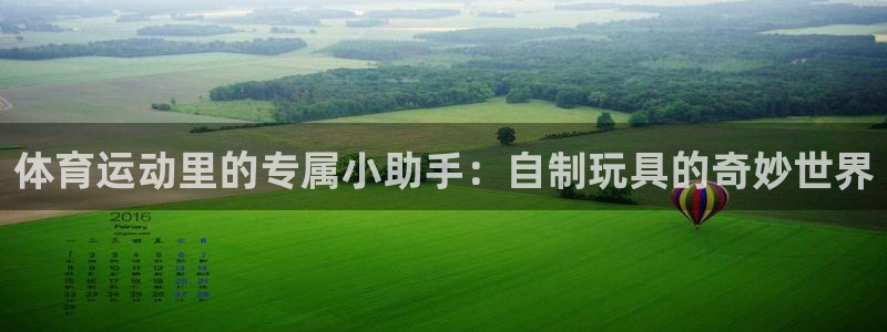 谈球吧：体育运动里的专属小助手：自制玩具的奇妙世界
