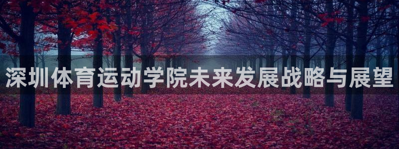 谈球吧：深圳体育运动学院未来发展战略与展望