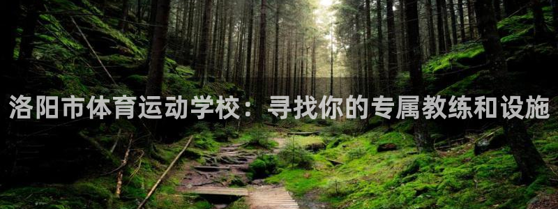 谈球吧体育官网：洛阳市体育运动学校：寻找你的专属教练和设施