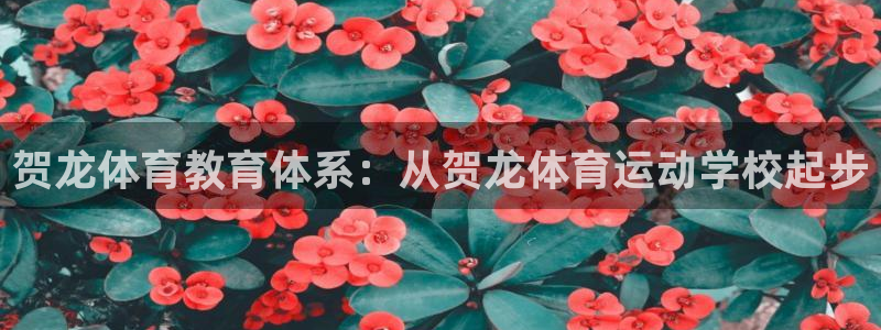 谈球吧：贺龙体育教育体系：从贺龙体育运动学校起步