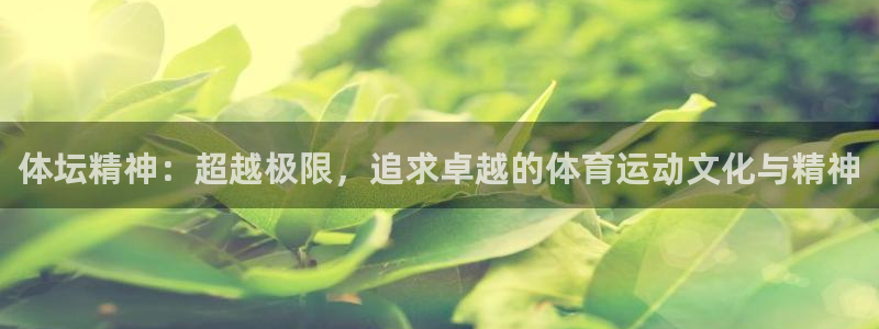 谈球吧体育：体坛精神：超越极限，追求卓越的体育运动文化与精神
